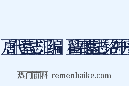 唐代墓志汇编·翟君墓志铭并序是什么意思的图片